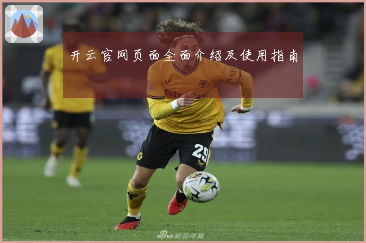 开云官网页面全面介绍及使用指南