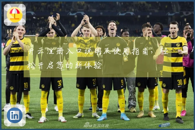 开云注册入口说明及使用指南，轻松开启您的新体验
